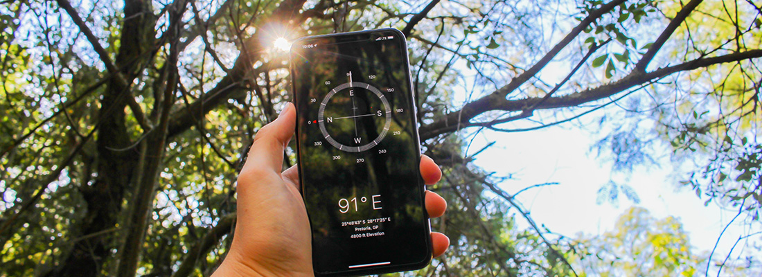 Eine Hand hält ein Handy gegen Sonnenstrahlen im Wald